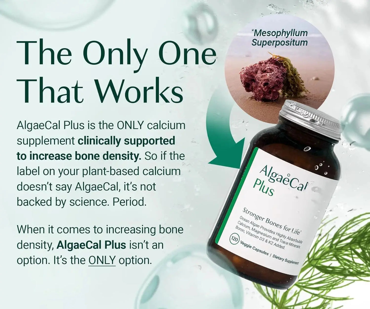 Algaecal+ The only plant based calcium supplement supported by science for stronger, healthier bones