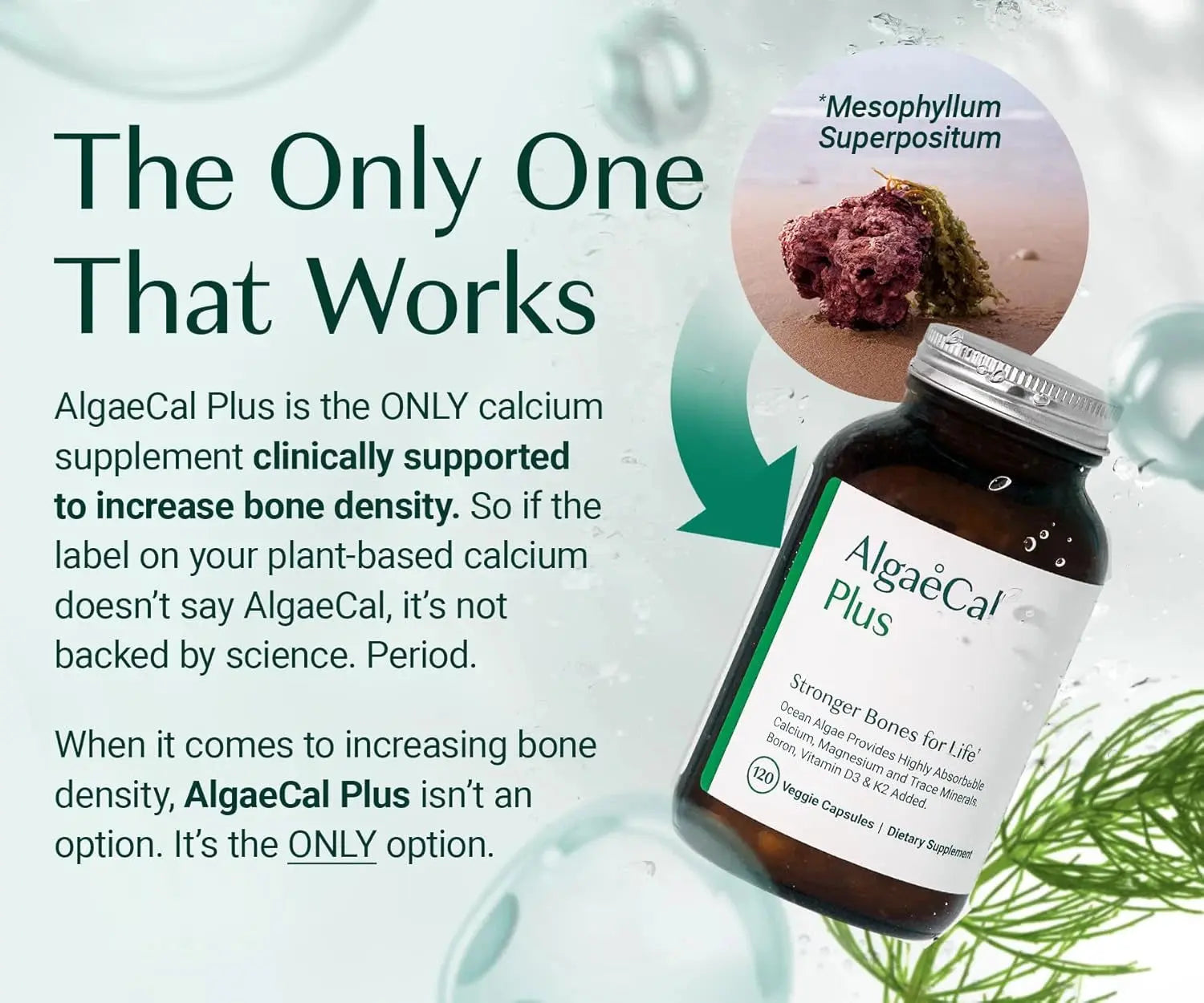 Algaecal+ The only plant based calcium supplement supported by science for stronger, healthier bones