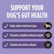 Advertisement for dog gut health support with benefits listed on a purple background