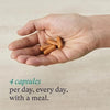 Hand holding four capsules with text '4 capsules per day, every with a meal.'