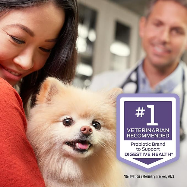 Woman holding a small dog with a #1 Vet Recommended badge in the corner